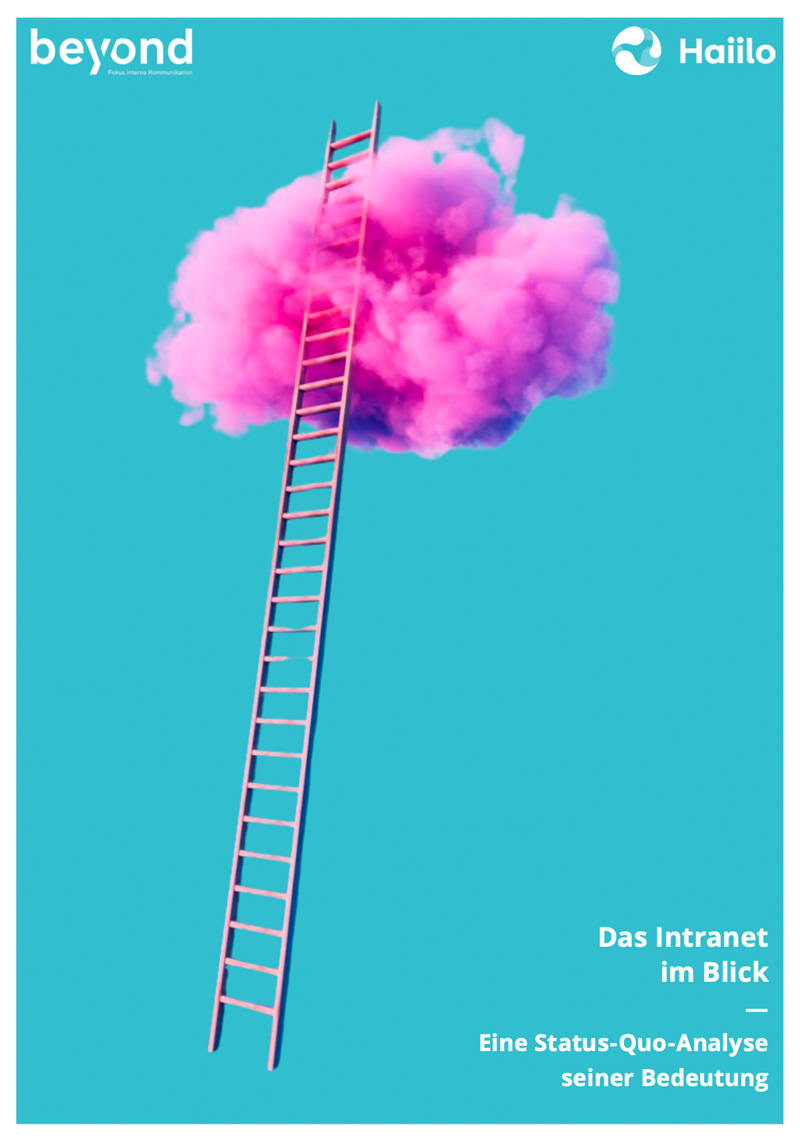 Das Intranet im Blick: Eine Status-Quo-Analyse seiner Bedeutung